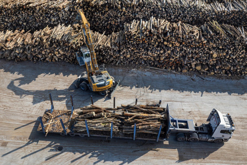 LH50M Timber